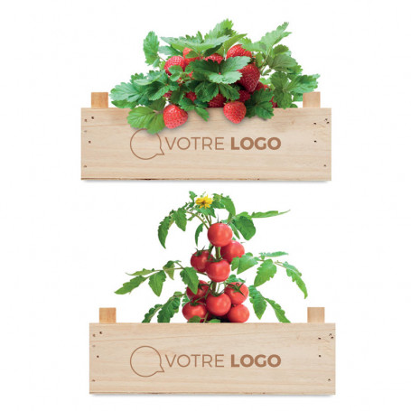 Coffret bois avec kit de plantation Bomled