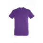 Tee-shirt homme couleur Regent