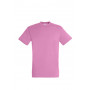 Tee-shirt homme couleur Regent