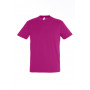 Tee-shirt homme couleur Regent