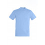 Tee-shirt homme couleur Regent