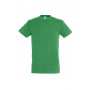 Tee-shirt homme couleur Regent