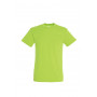 Tee-shirt homme couleur Regent