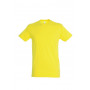 Tee-shirt homme couleur Regent