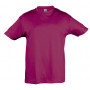 Tee-shirt couleur enfant Regent